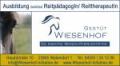 Gestüt Wiesnhof - Schule für Reitpädagogik, Reittherapie & Coaching Gestüt Wiesnhof - Schule für Reitpädagogik, Reittherapie & Coaching